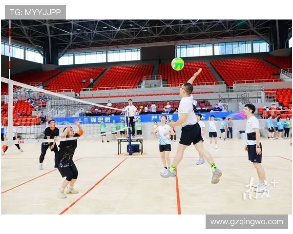 广州排球队创新高排球配合排名再创佳绩引发热议